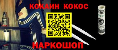 шишки Кингисепп
