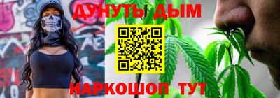 шишки Кингисепп