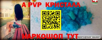 шишки Кингисепп
