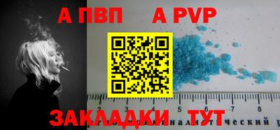 шишки Кингисепп
